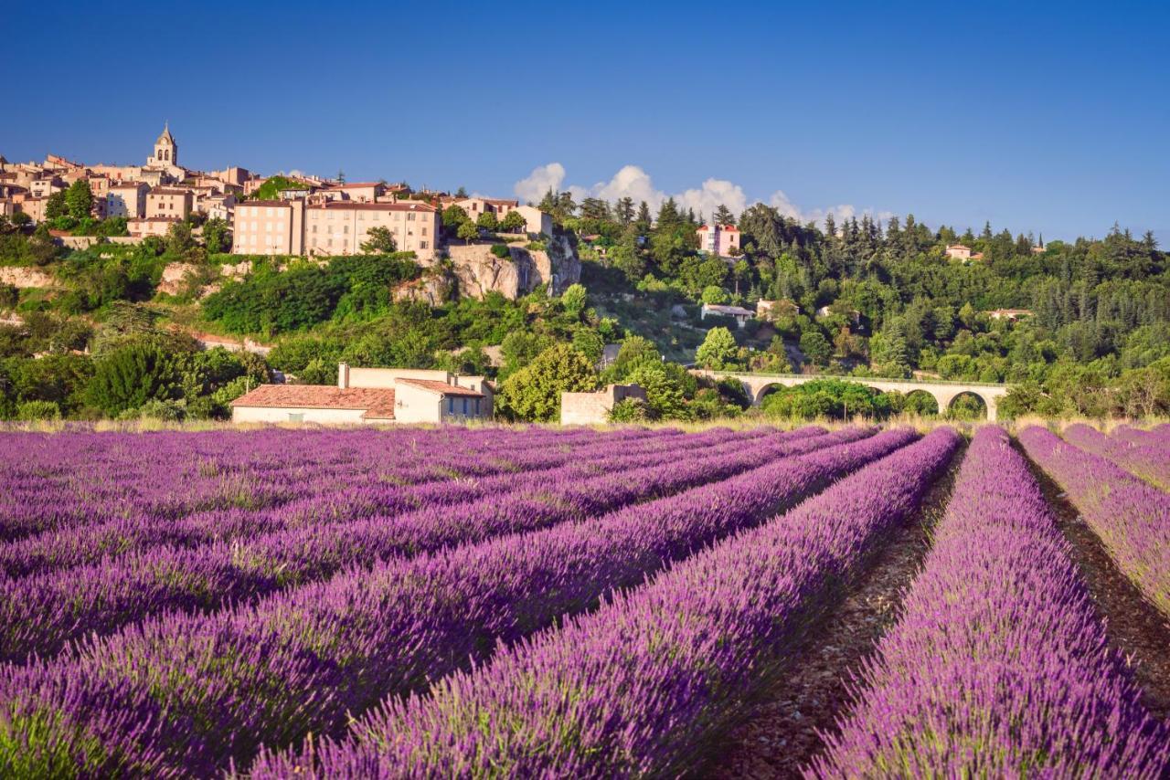 Cabrières-dʼAvignonProvence Nowアパートメント エクステリア 写真